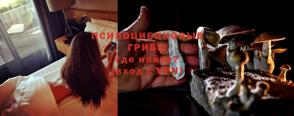 дмт Верея