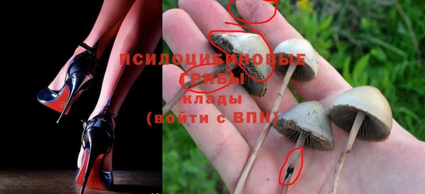 дмт Верея