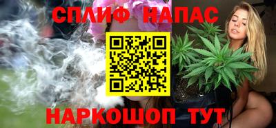 сатива Бузулук