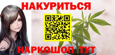 прущие грибы Будённовск