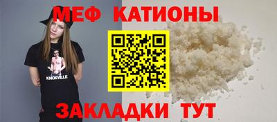 прущие грибы Будённовск