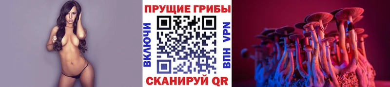 хочу наркоту  МЕГА зеркало  Псилоцибиновые грибы Psilocybe  Вичуга 