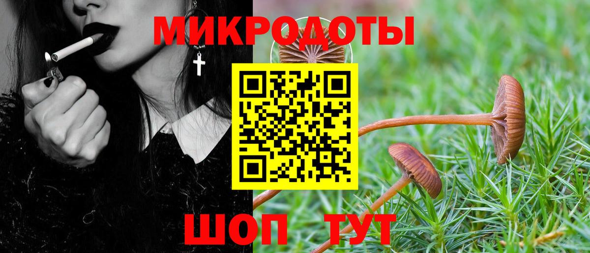 Галлюциногенные грибы мицелий  Псилоцибиновые грибы GOLDEN TEACHER  Вичуга  Вход с VPN 